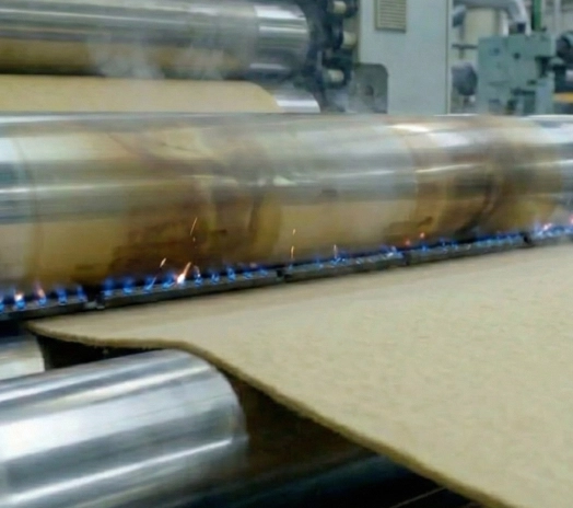 Surface Singeing and Calendering