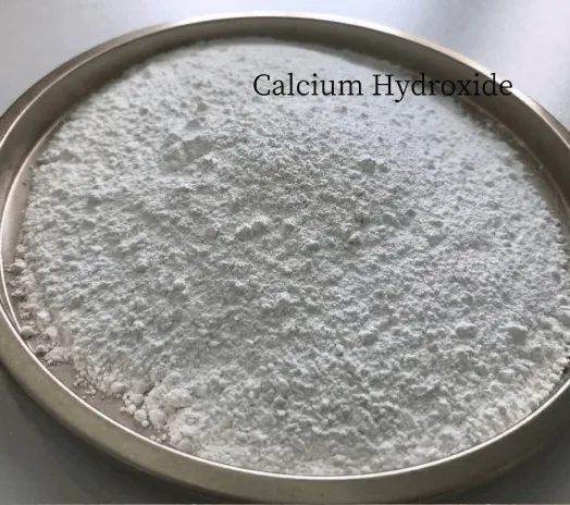 Baghouse Lime Pre-Coating Powder