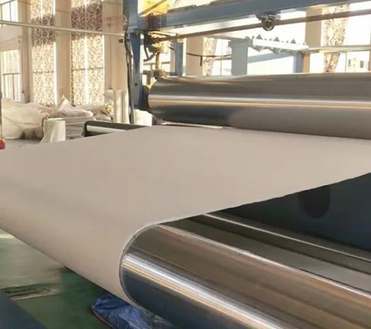 Aramid(Nomex) Needle-Punched Felt