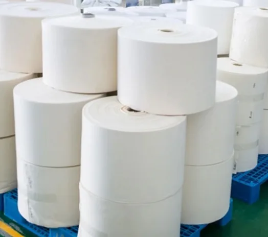 PTFE Needle-Punched Felt